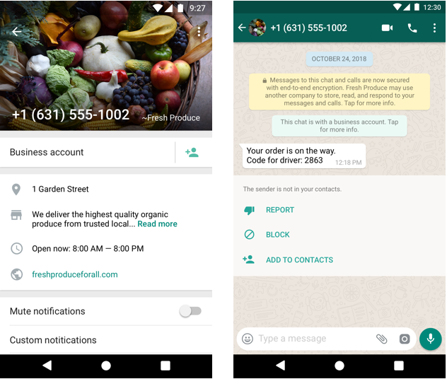 How to increase your chances of getting the WhatsApp Green Tick Verification Example of Regular Business Account on WhatsApp