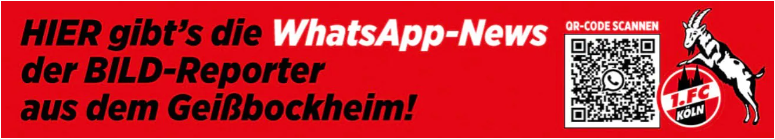 WhatsApp Newsletter Broadcast: Scaling Your Enterprise with Automated WhatsApp bulk messages BILD banner with WhatsApp News opt-in QR code by 360dialog.